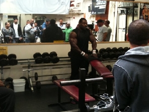 Sugars Gym