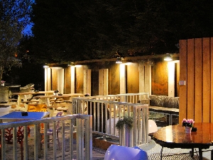The Owl at Lichfield