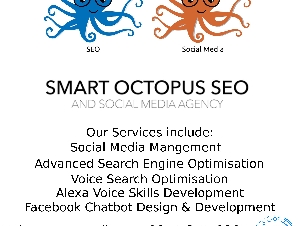 Smart Octopus SEO