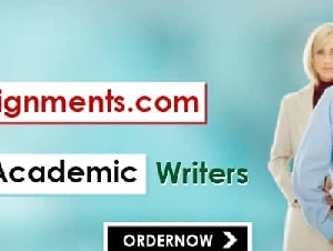 WRITING SERVICES IN US