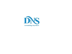 DNS Accountants